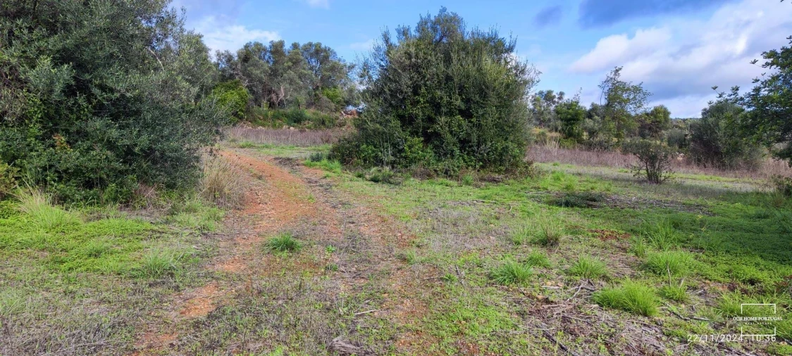 Terreno para Venda em Salir Foto 8