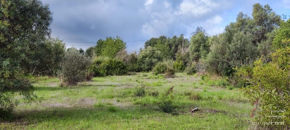 Terreno para Venda em Salir Foto 2