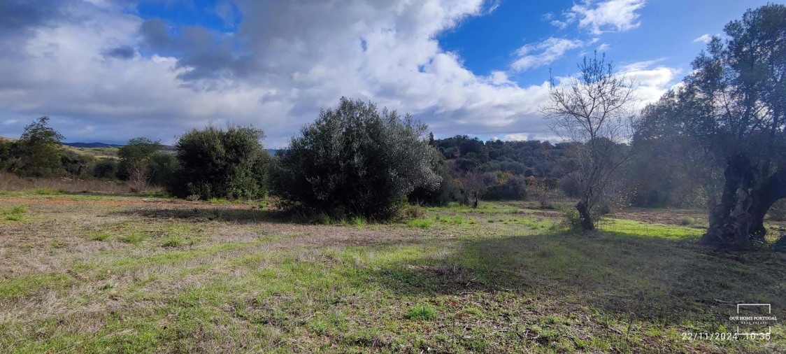 Terreno para Venda em Salir Foto 6