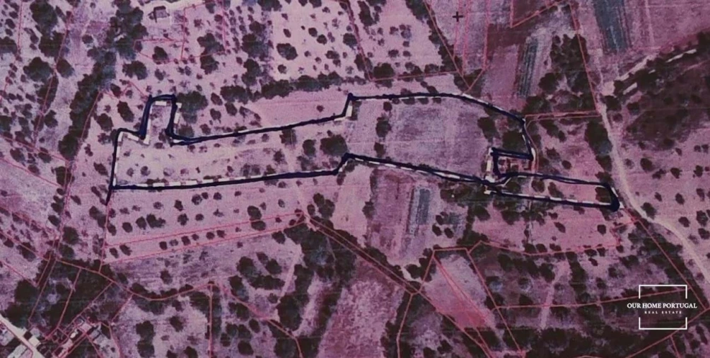 Terreno para Venda em Salir Foto 21