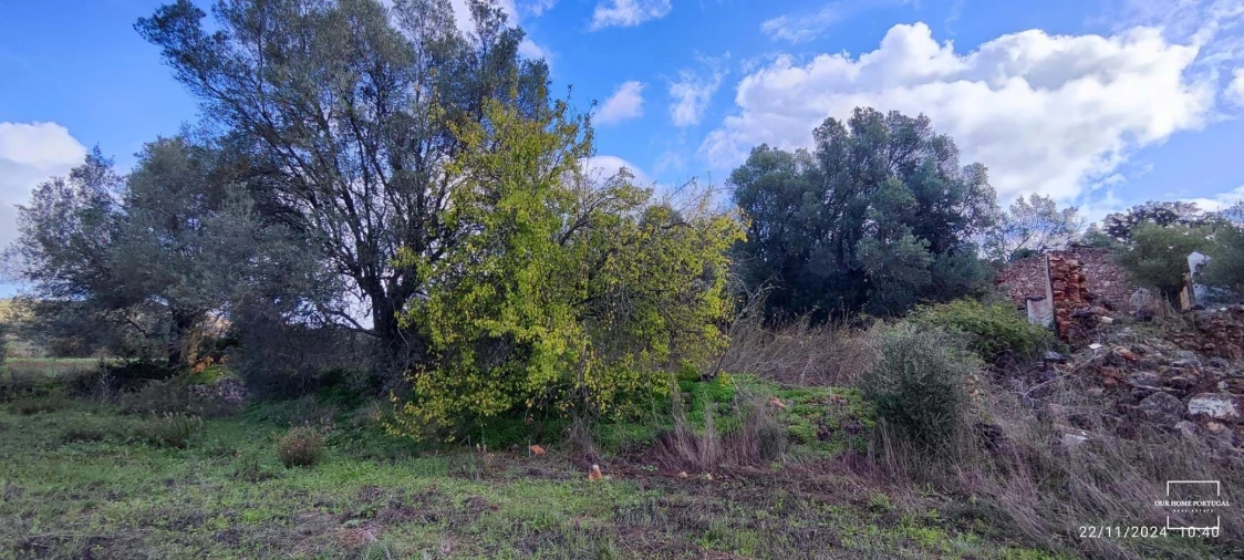 Terreno para Venda em Salir Foto 16