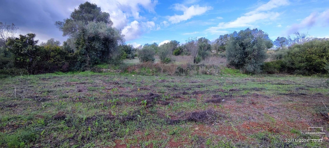 Terreno para Venda em Salir Foto 18