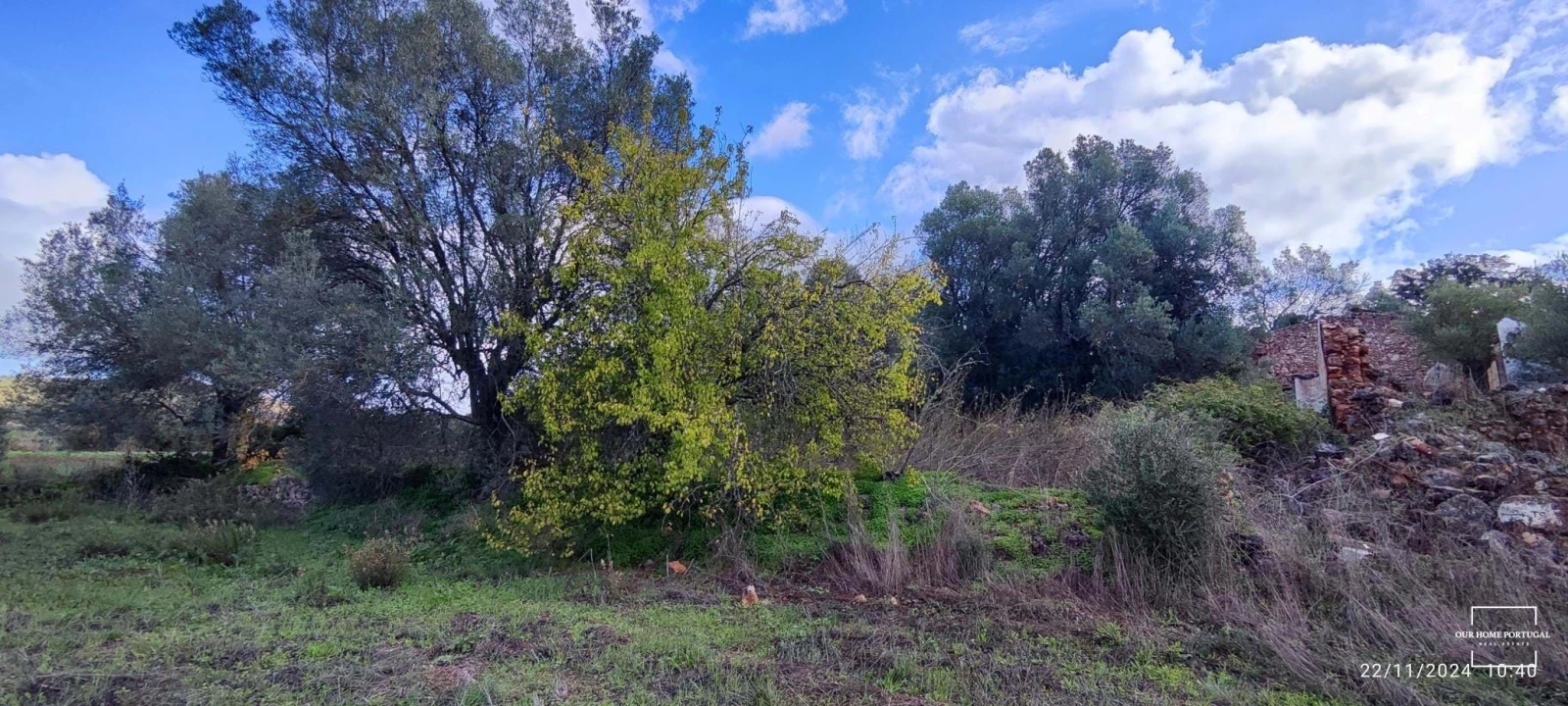 Terreno para Venda em Salir Foto 16