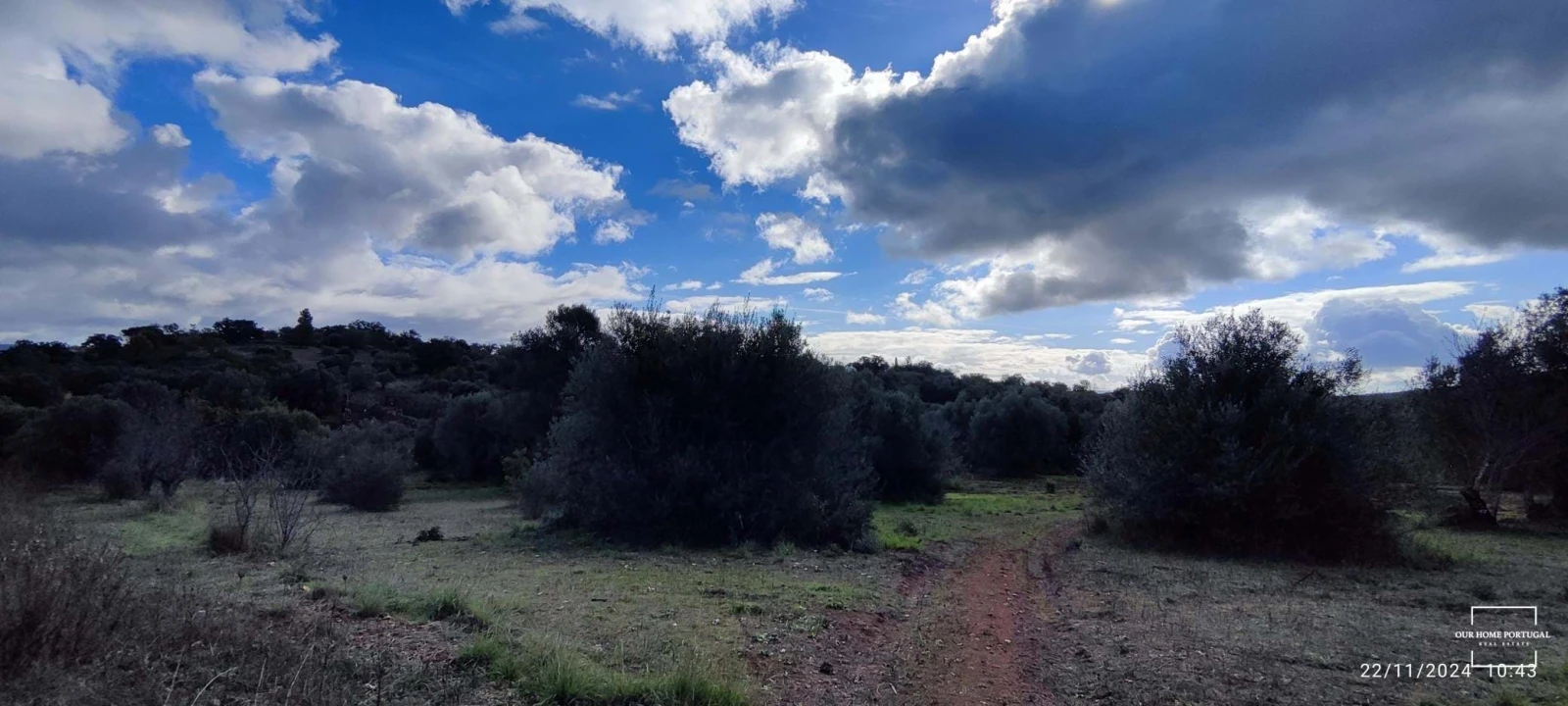 Terreno para Venda em Salir Foto 19