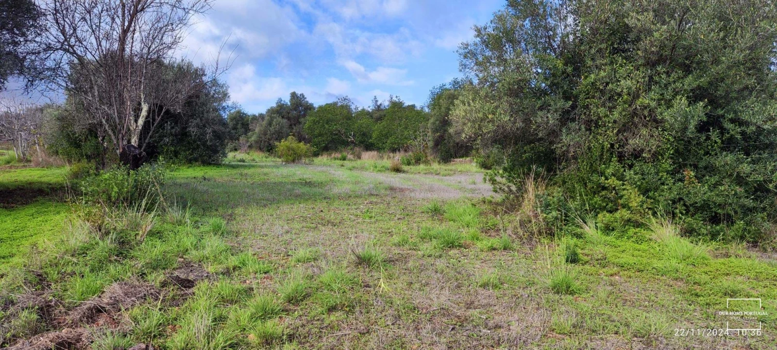 Terreno para Venda em Salir Foto 9