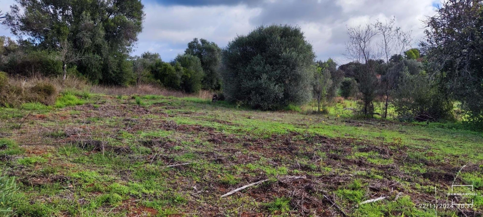 Terreno para Venda em Salir Foto 12
