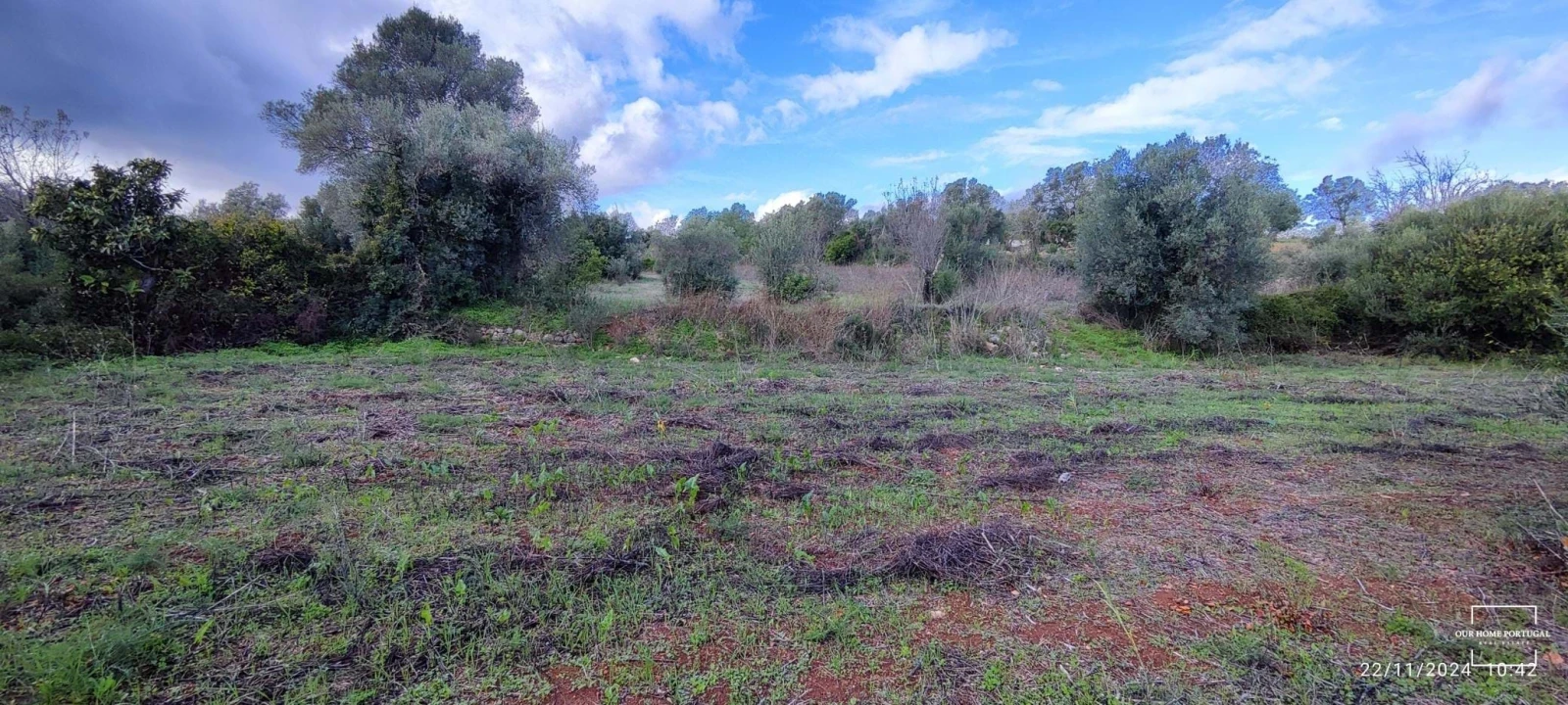 Terreno para Venda em Salir Foto 18