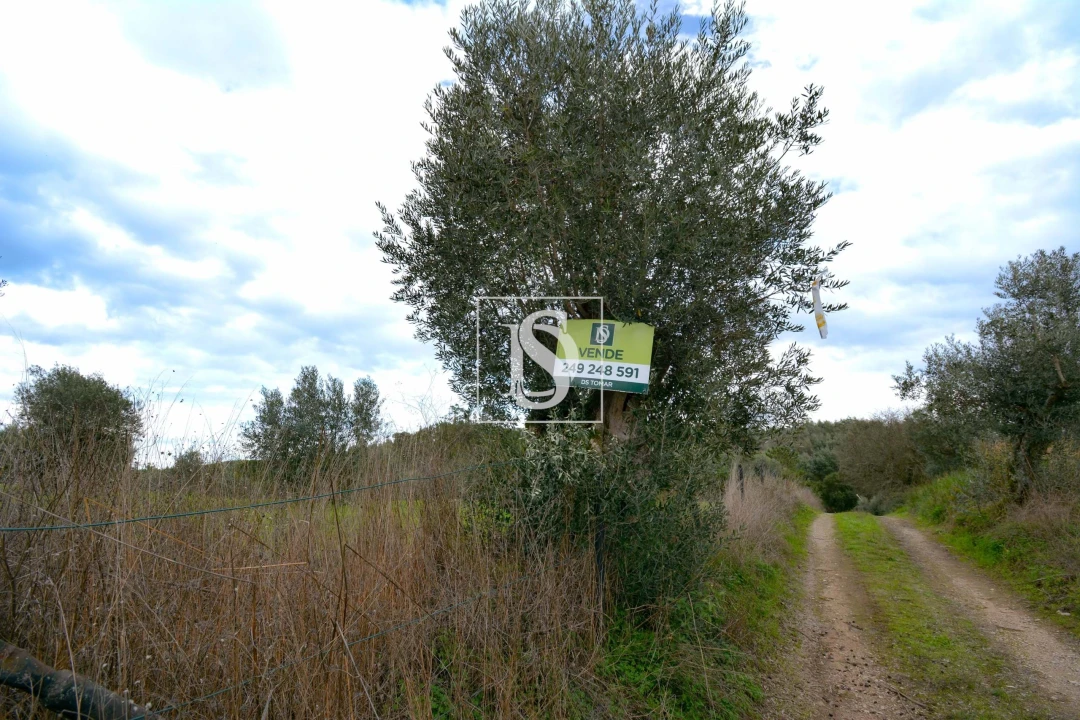 Terreno para Venda em Asseiceira Foto 9