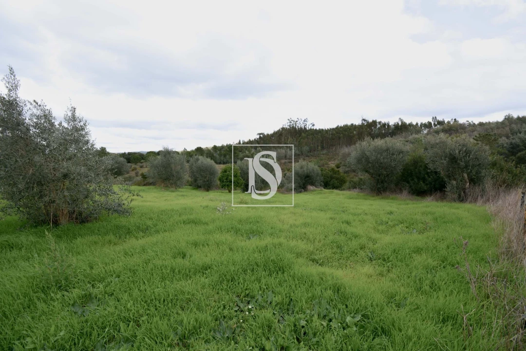 Terreno para Venda em Asseiceira Foto 5