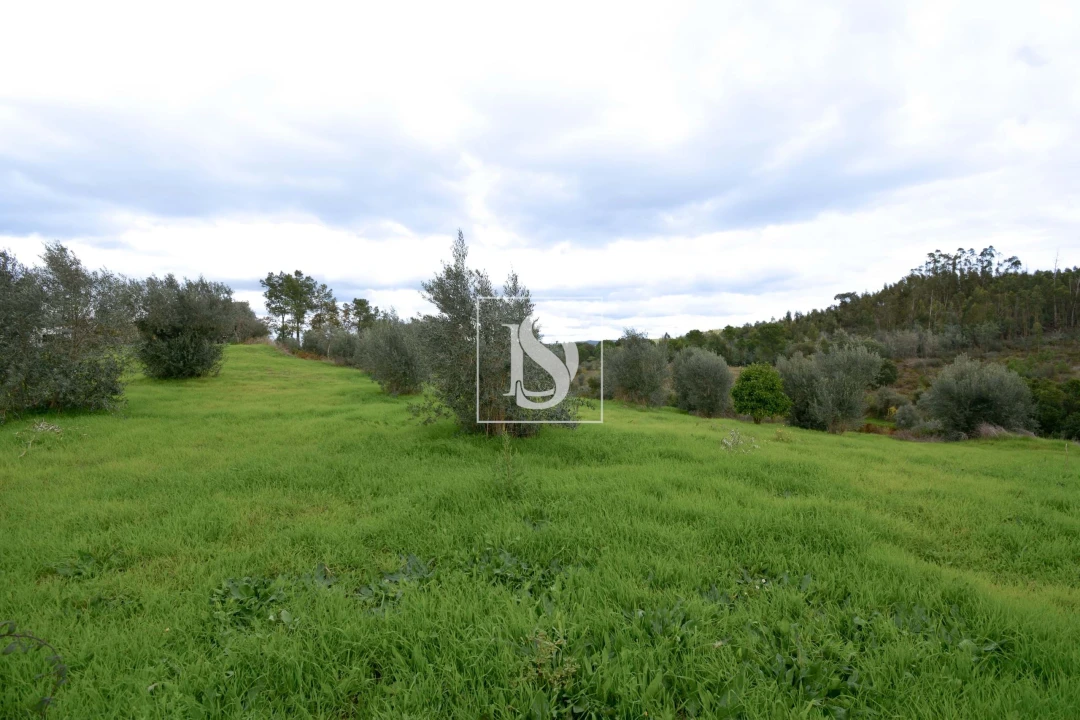 Terreno para Venda em Asseiceira Foto 4