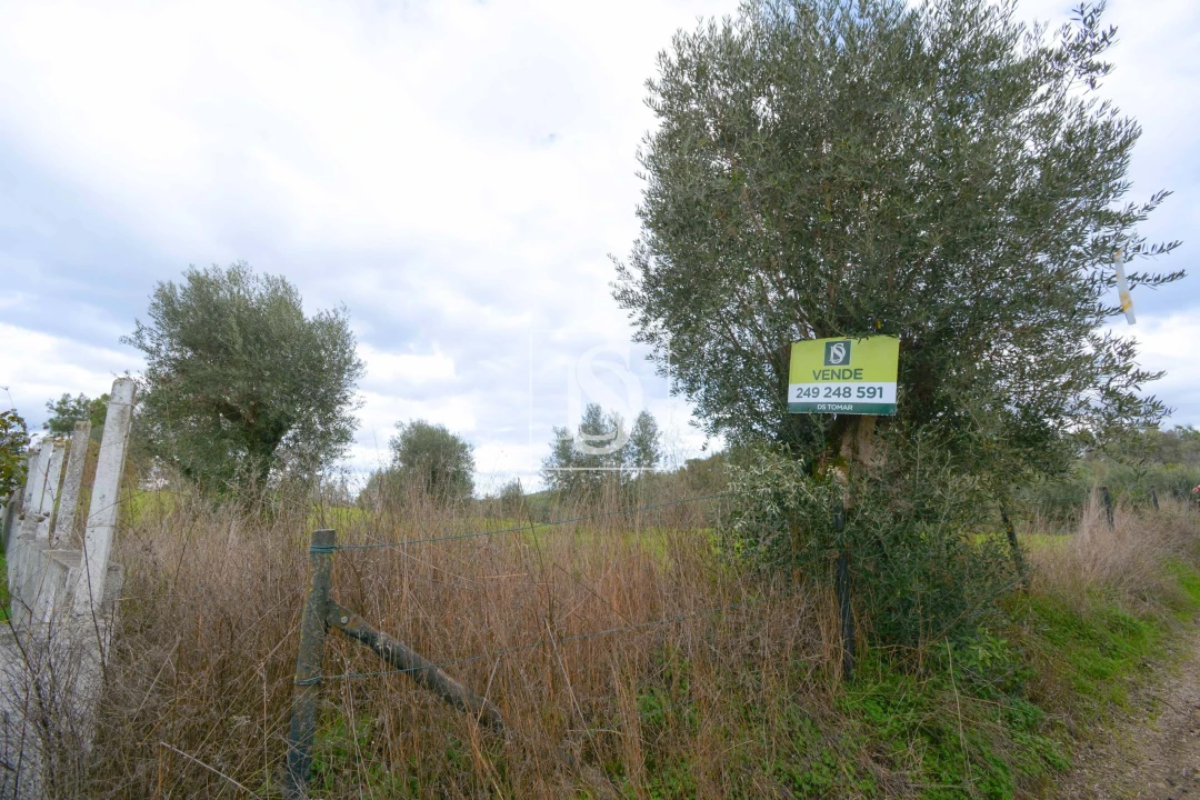Terreno para Venda em Asseiceira Foto 7