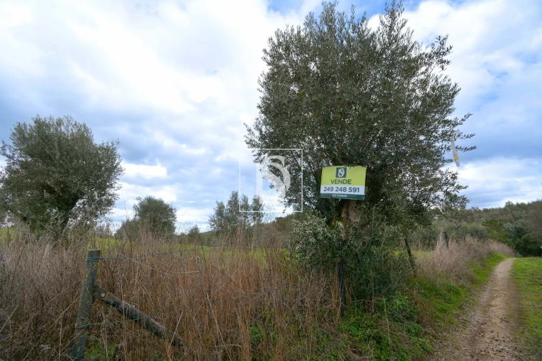 Terreno para Venda em Asseiceira Foto 8
