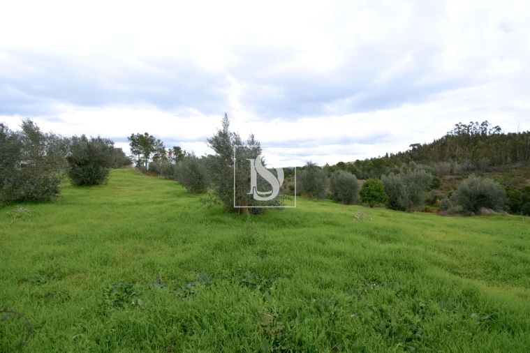Terreno para Venda em Asseiceira Foto 4