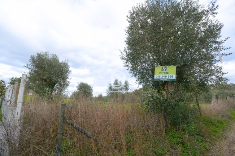 Terreno para Venda em Asseiceira Foto 7