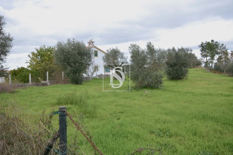 Terreno para Venda em Asseiceira Foto 2