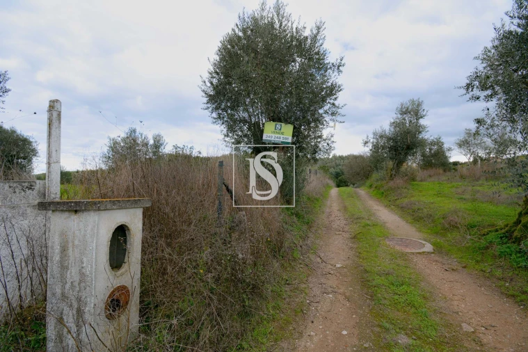 Terreno para Venda em Asseiceira Foto 10