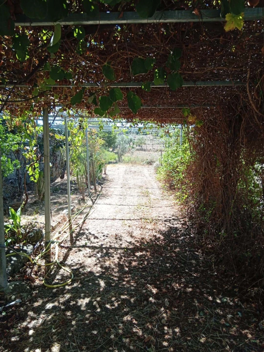 Moradia T3 para Venda em Belmonte e Colmeal da Torre Foto 27