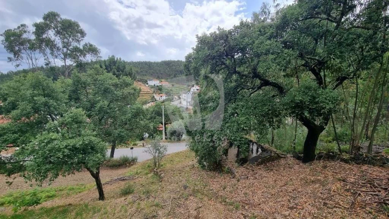Terreno Agricola ou Rústico para Venda em Troviscal Foto 8