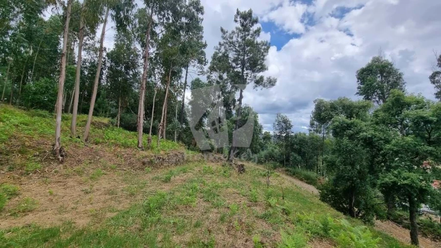 Terreno Agricola ou Rústico para Venda em Troviscal Foto 3