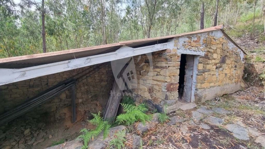 Terreno Agricola ou Rústico para Venda em Troviscal Foto 5