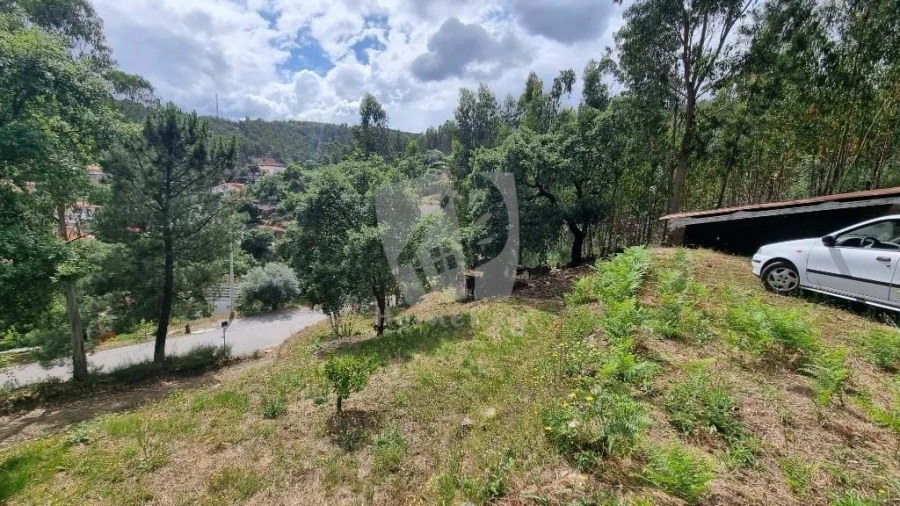Terreno Agricola ou Rústico para Venda em Troviscal Foto 12