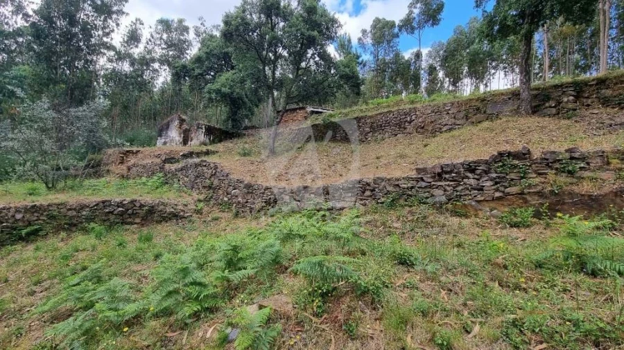 Terreno Agricola ou Rústico para Venda em Troviscal