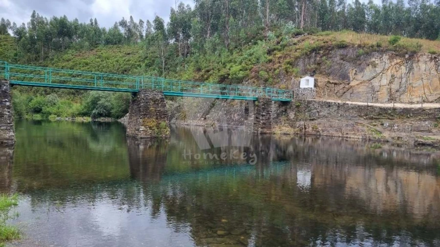 Terreno Agricola ou Rústico para Venda em Troviscal Foto 20
