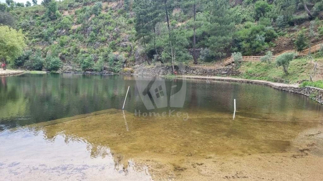 Terreno Agricola ou Rústico para Venda em Troviscal Foto 22