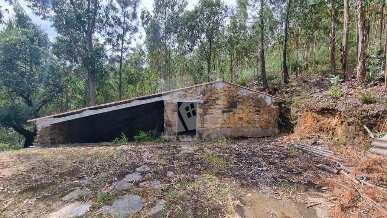 Terreno Agricola ou Rústico para Venda em Troviscal Foto 6