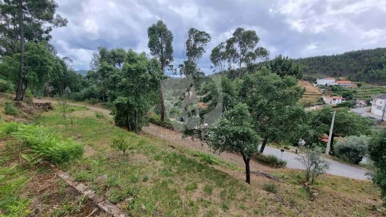 Terreno Agricola ou Rústico para Venda em Troviscal Foto 9