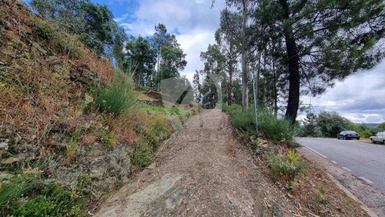 Terreno Agricola ou Rústico para Venda em Troviscal Foto 2