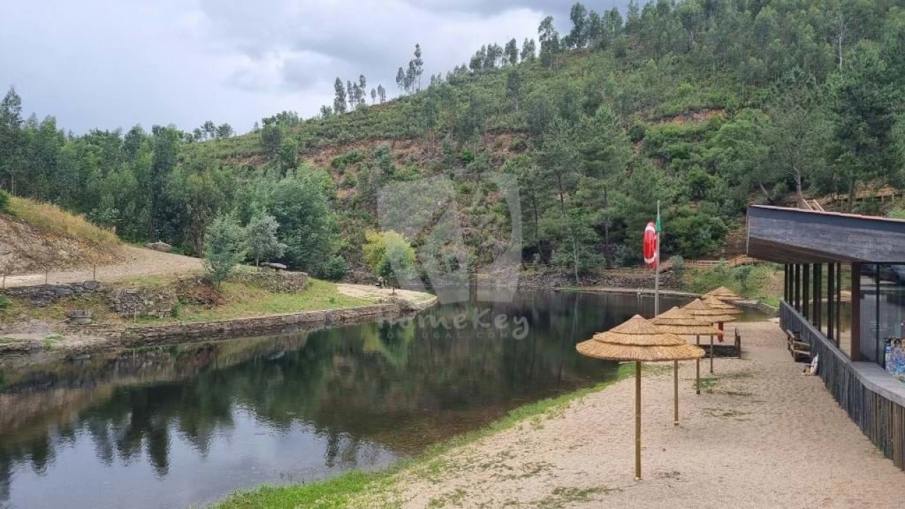 Terreno Agricola ou Rústico para Venda em Troviscal Foto 18