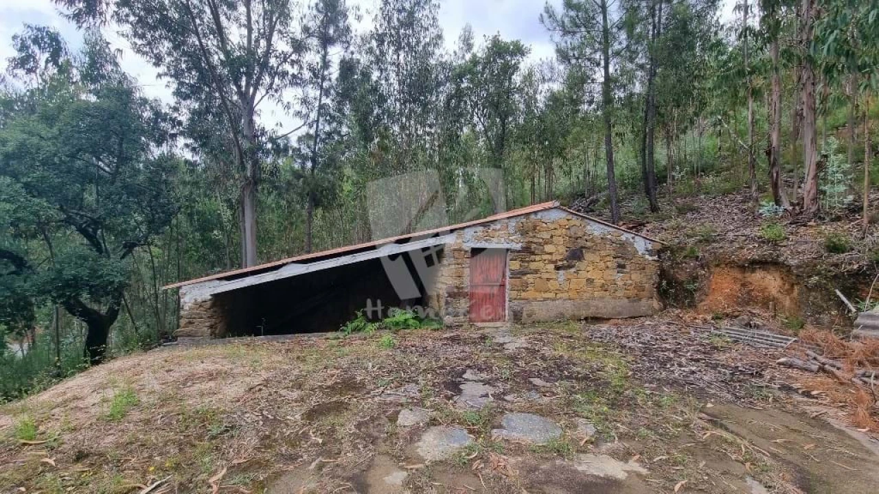 Terreno Agricola ou Rústico para Venda em Troviscal Foto 4