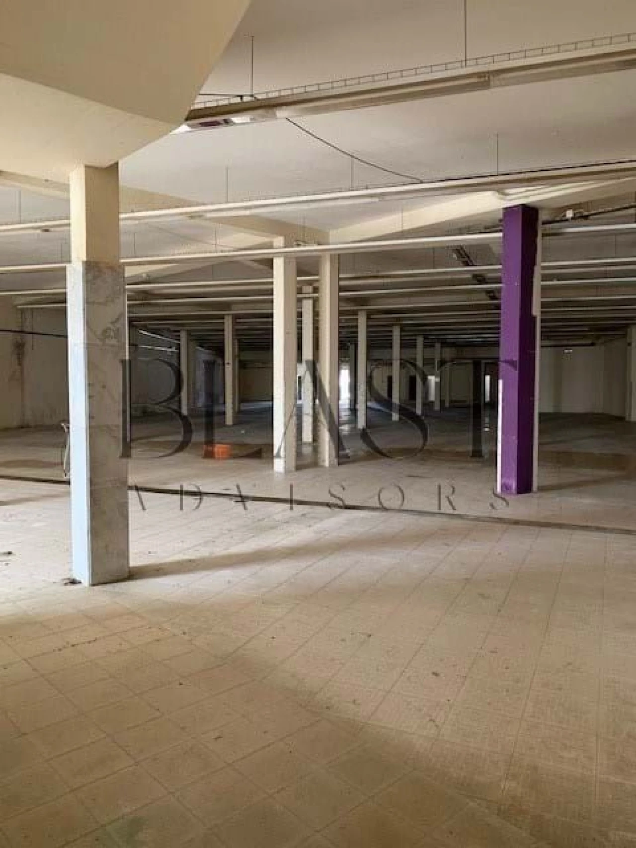 Negócio para Venda em Marinha Grande Foto 1