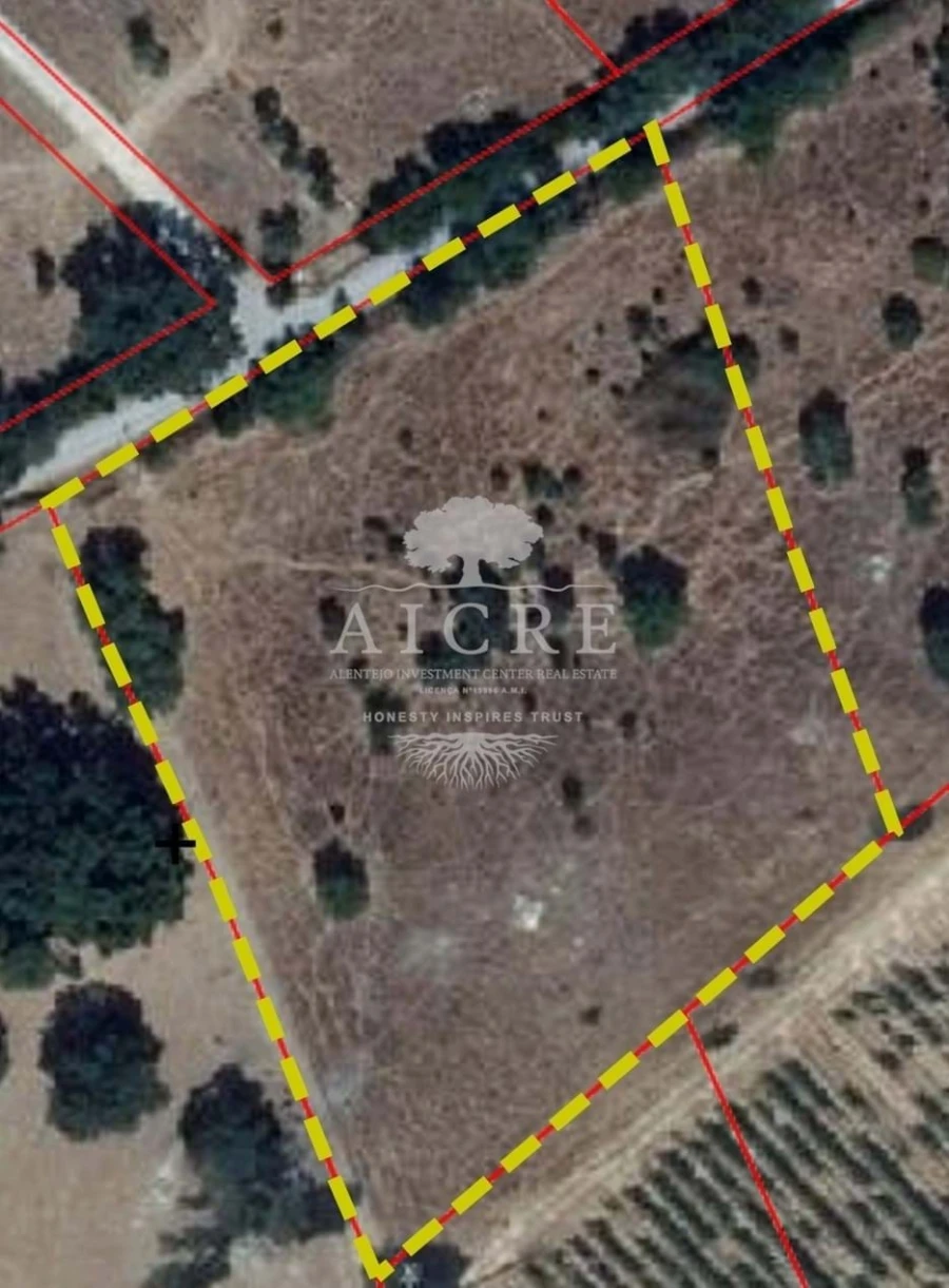 Terreno para Venda em Bacelo e Senhora da Saúde Foto 2