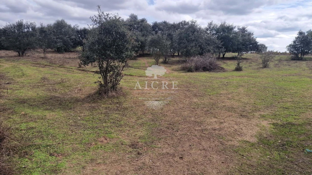 Terreno para Venda em Bacelo e Senhora da Saúde Foto 1