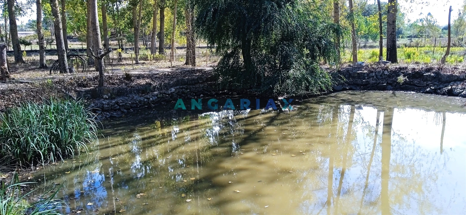 Quinta T0 para Venda em Monte Real e Carvide Foto 9