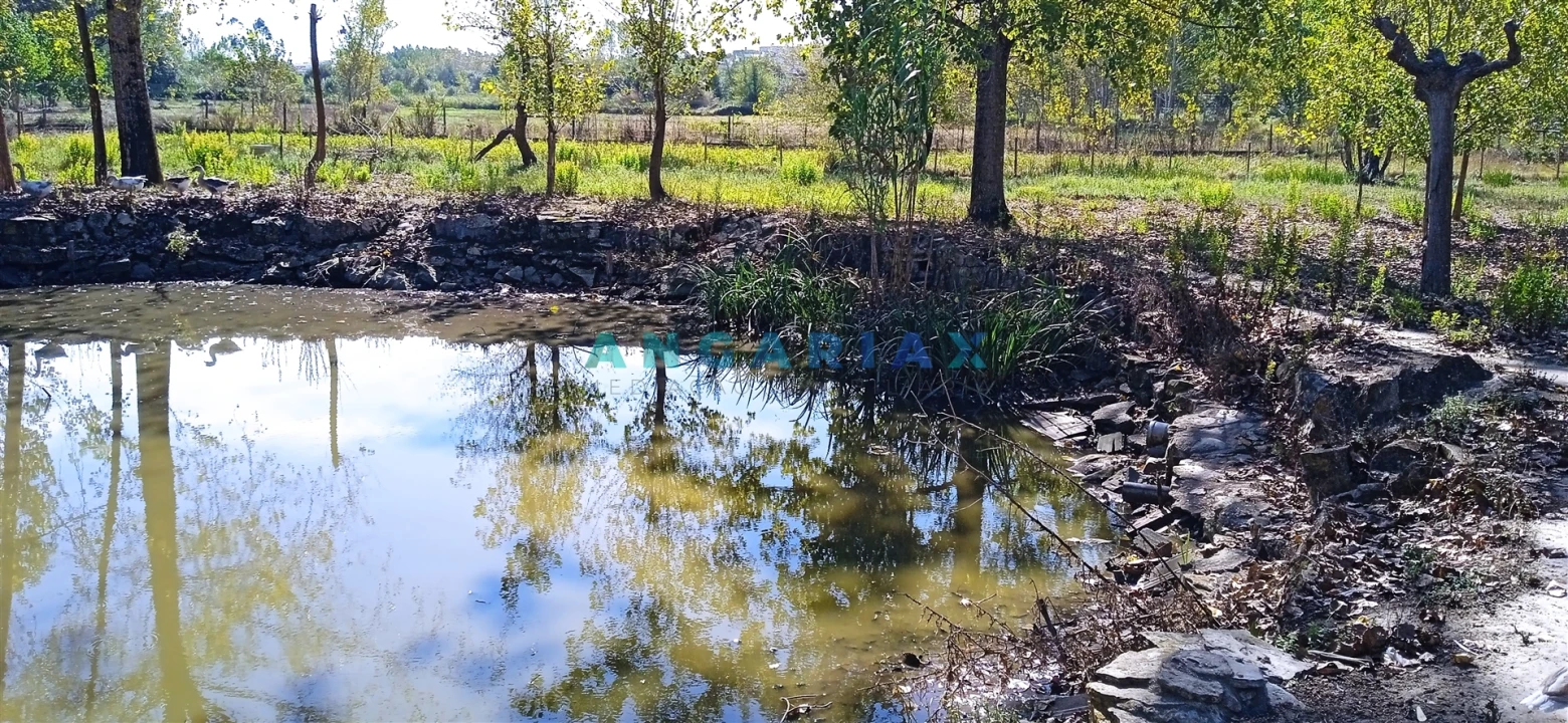 Quinta T0 para Venda em Monte Real e Carvide Foto 8