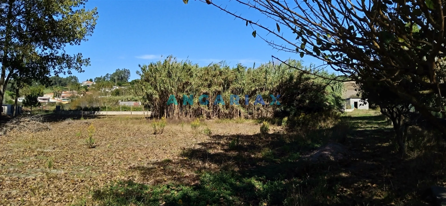 Quinta T0 para Venda em Monte Real e Carvide Foto 10