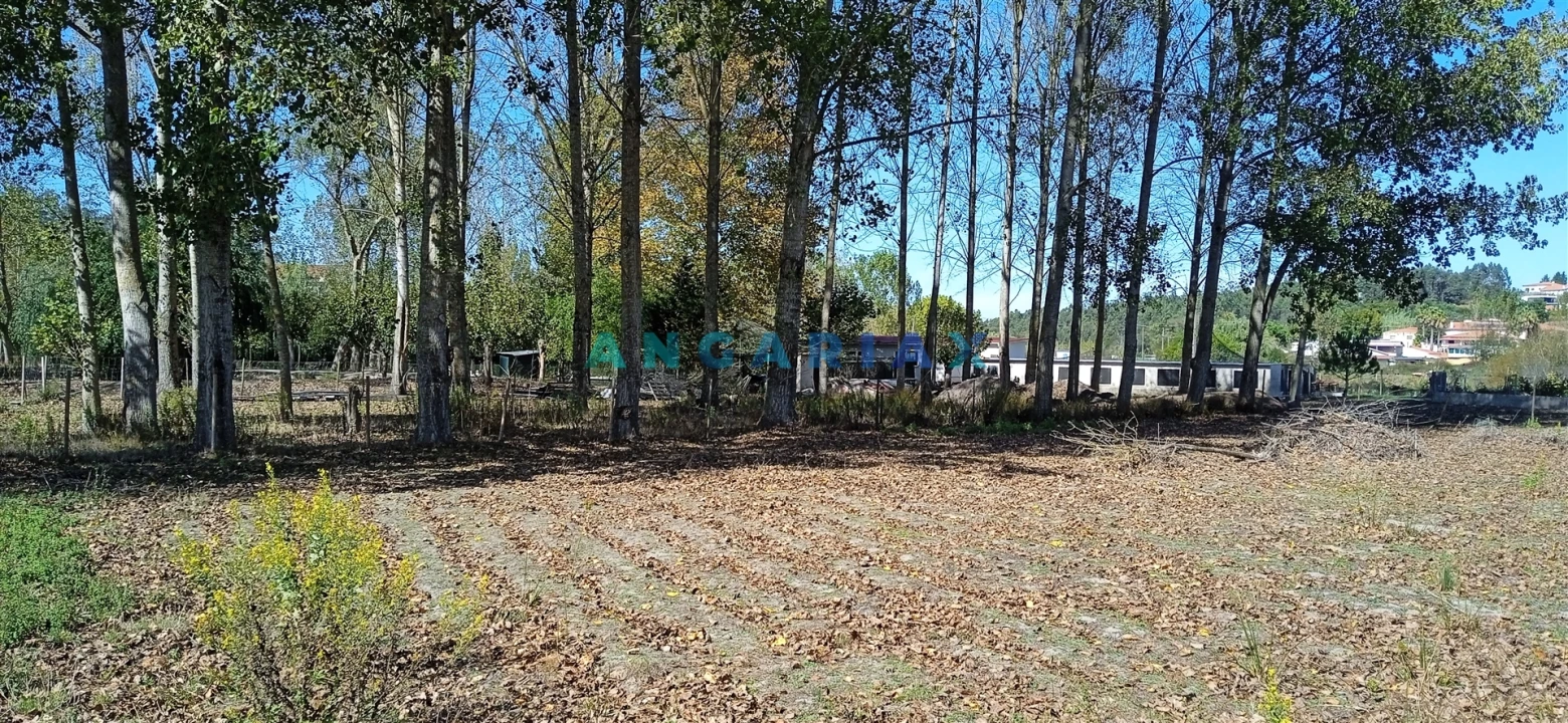 Quinta T0 para Venda em Monte Real e Carvide Foto 2