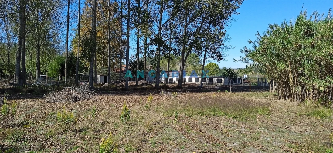 Quinta T0 para Venda em Monte Real e Carvide Foto 3