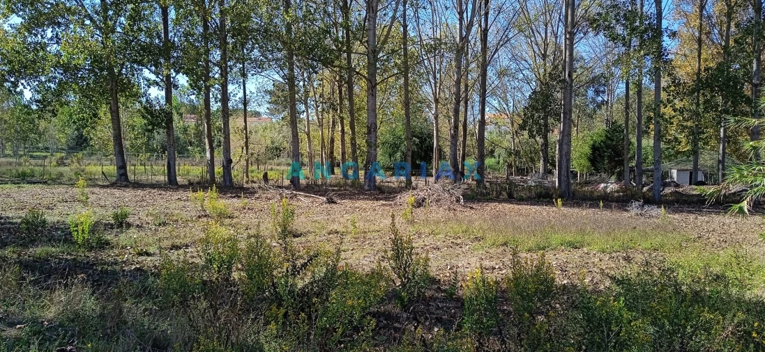 Quinta T0 para Venda em Monte Real e Carvide Foto 11