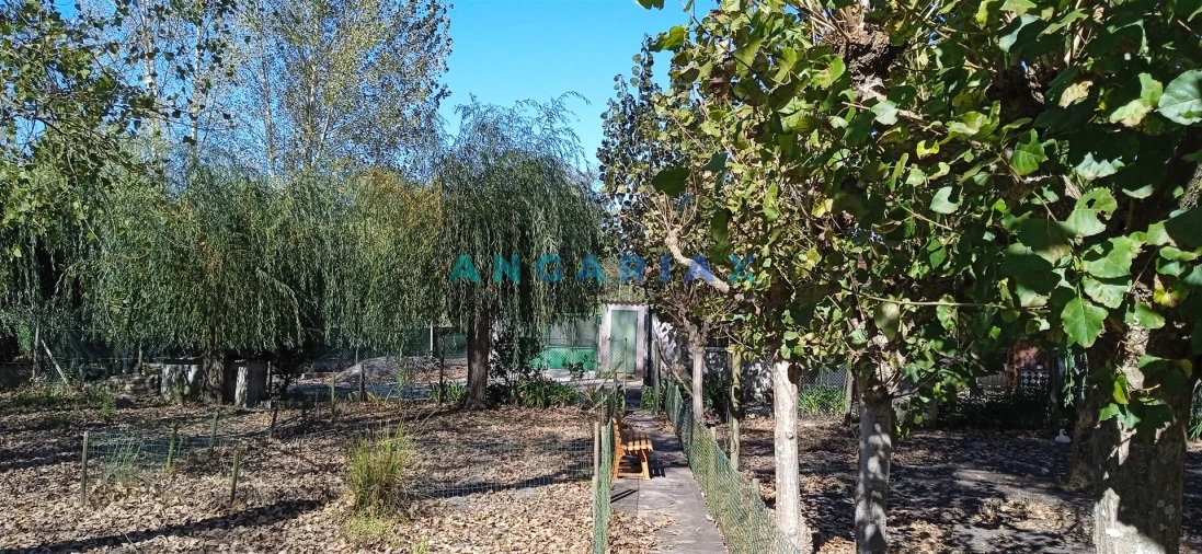 Quinta T0 para Venda em Monte Real e Carvide Foto 6