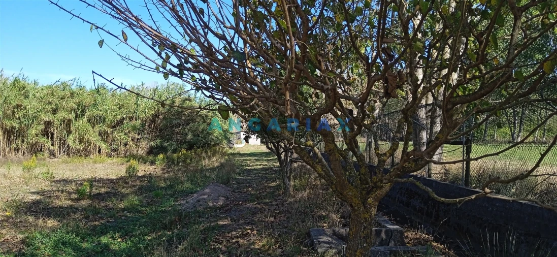 Quinta T0 para Venda em Monte Real e Carvide Foto 10