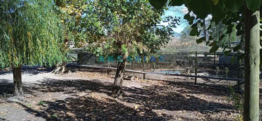 Quinta T0 para Venda em Monte Real e Carvide