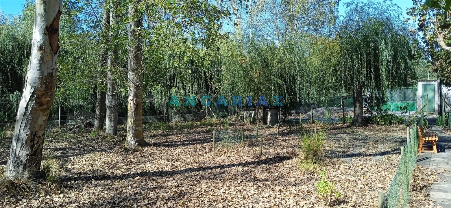 Quinta T0 para Venda em Monte Real e Carvide Foto 5