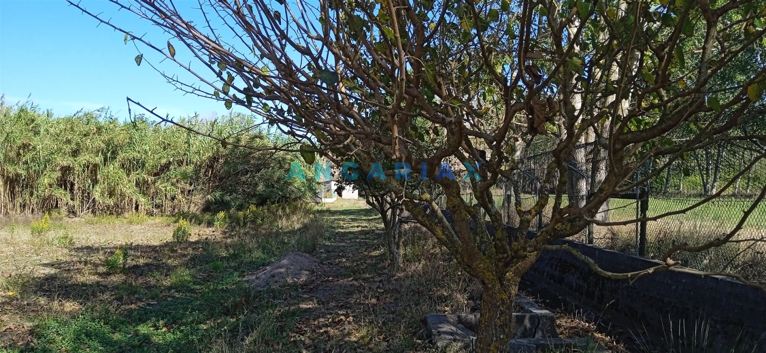 Quinta T0 para Venda em Monte Real e Carvide Foto 11