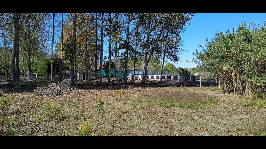 Quinta T0 para Venda em Monte Real e Carvide