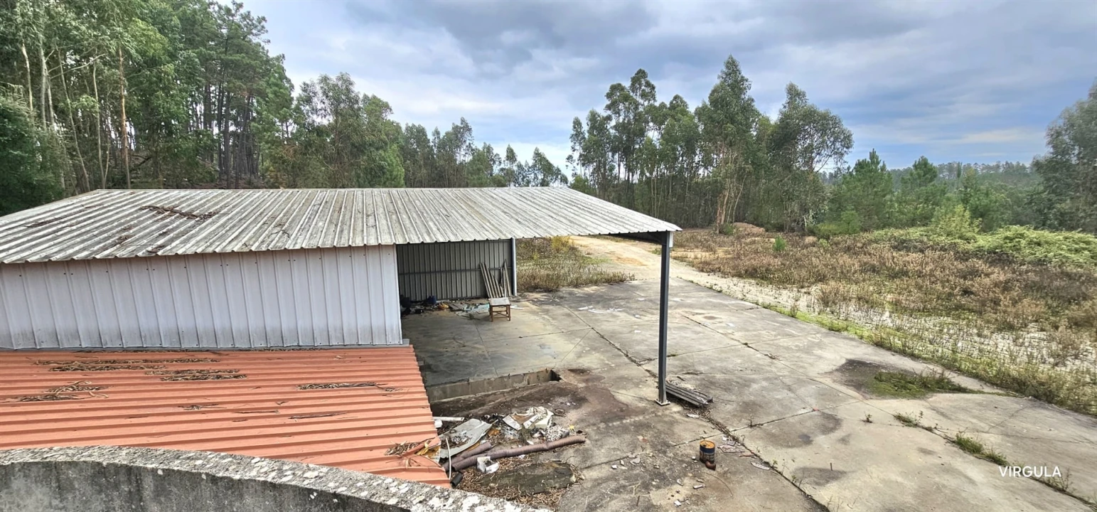 Armazém para Venda em Nossa Senhora das Misericordias Foto 24