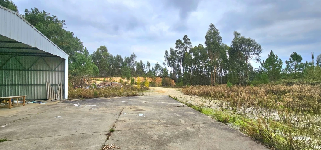 Armazém para Venda em Nossa Senhora das Misericordias Foto 8
